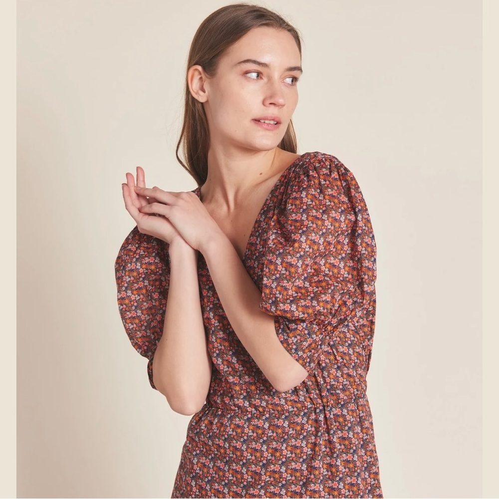 BNWT Trovata birds of paradise ARDEN DRESS CARDINAL DITSY size L floral CL - Picture 6 of 11